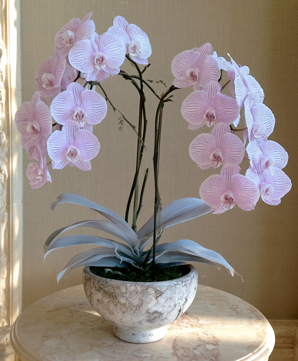 Luxury orchid living room