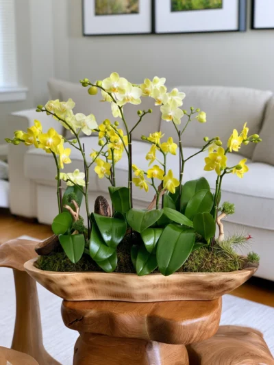 Mini Jungle