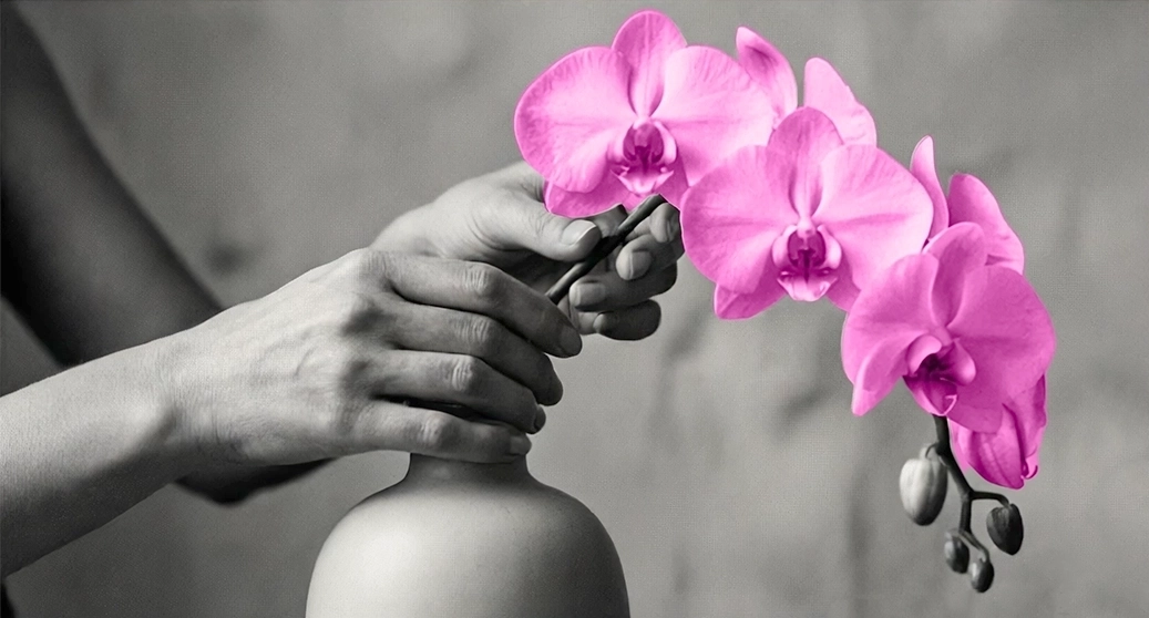 orchids palm beach Shop mobile