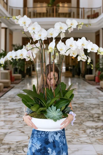 Tara Coastal White Orchid