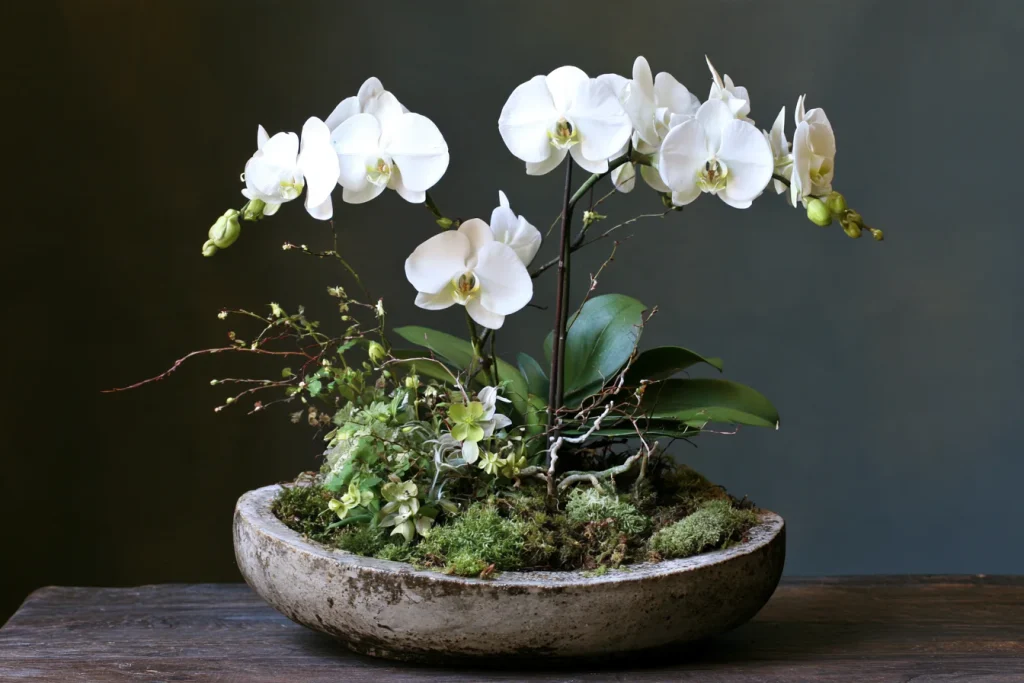 Understanding Your Orchid Arrangement